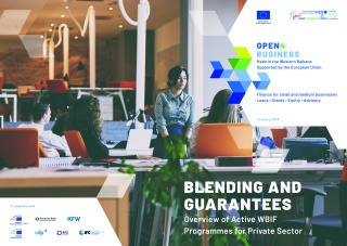 WBIF Private Sector Booklet Blending and Guarantees (January 2025)