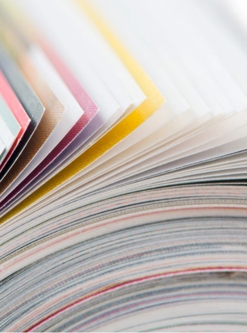Updated WBIF factsheets now available